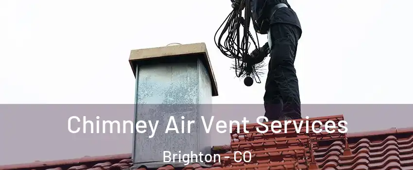 Chimney Air Vent Services Brighton - CO