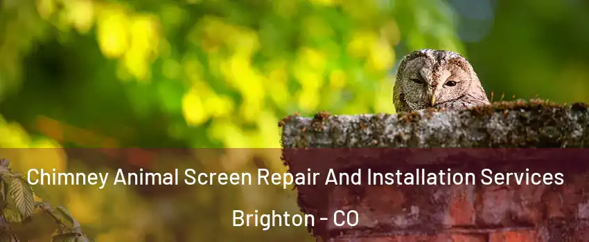  Chimney Animal Screen Repair And Installation Services Brighton - CO