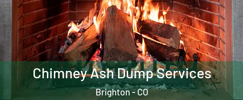  Chimney Ash Dump Services Brighton - CO