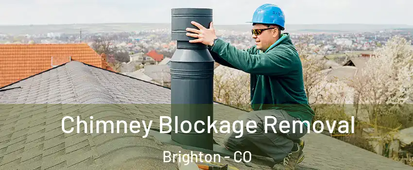  Chimney Blockage Removal Brighton - CO