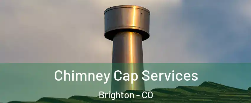  Chimney Cap Services Brighton - CO