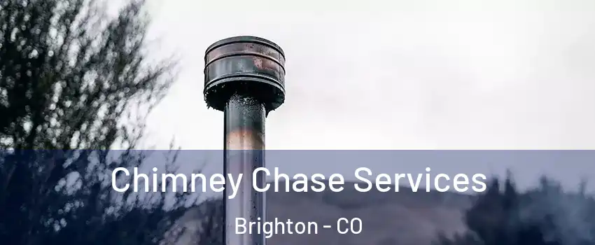  Chimney Chase Services Brighton - CO