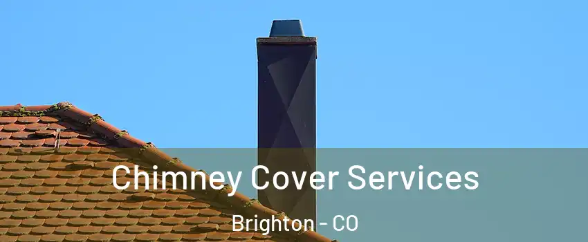  Chimney Cover Services Brighton - CO
