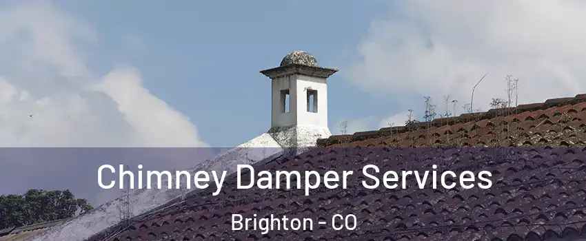  Chimney Damper Services Brighton - CO