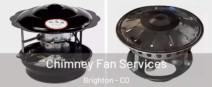  Chimney Fan Services Brighton - CO