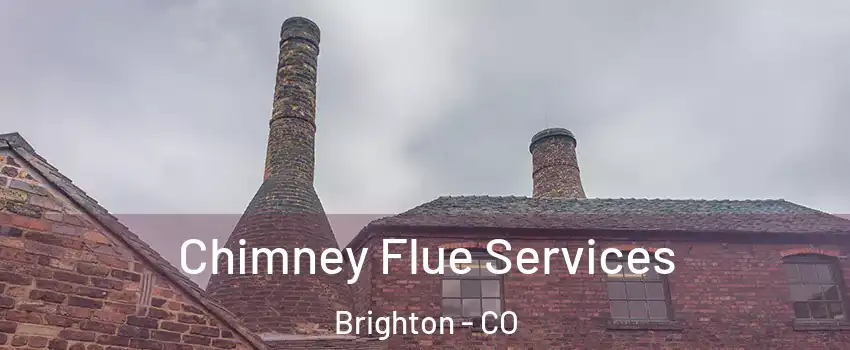  Chimney Flue Services Brighton - CO