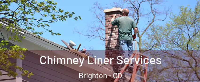  Chimney Liner Services Brighton - CO