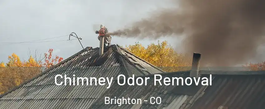  Chimney Odor Removal Brighton - CO