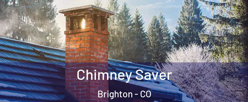 Chimney Saver Brighton - CO