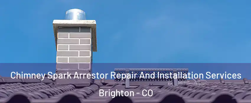  Chimney Spark Arrestor Repair And Installation Services Brighton - CO