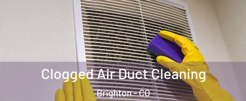  Clogged Air Duct Cleaning Brighton - CO