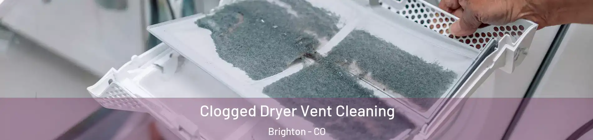  Clogged Dryer Vent Cleaning Brighton - CO
