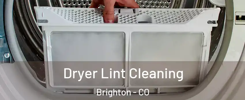  Dryer Lint Cleaning Brighton - CO