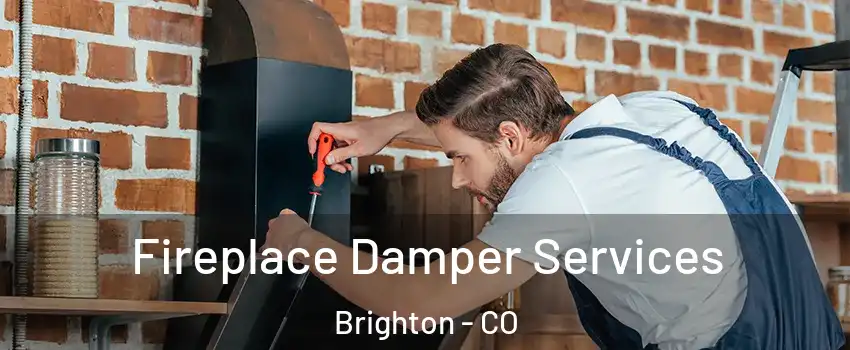  Fireplace Damper Services Brighton - CO