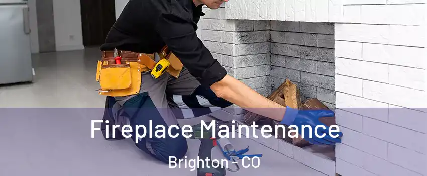  Fireplace Maintenance Brighton - CO