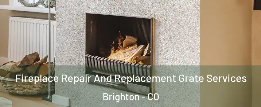  Fireplace Repair And Replacement Grate Services Brighton - CO
