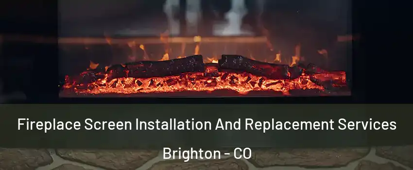  Fireplace Screen Installation And Replacement Services Brighton - CO