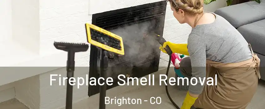  Fireplace Smell Removal Brighton - CO