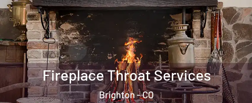  Fireplace Throat Services Brighton - CO
