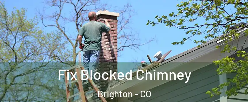  Fix Blocked Chimney Brighton - CO