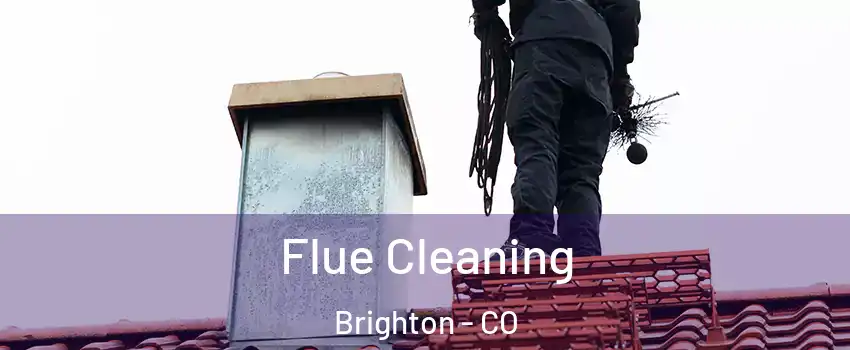  Flue Cleaning Brighton - CO