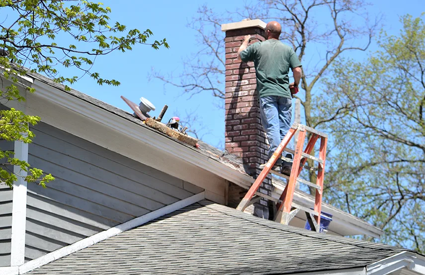 Chimney & Fireplace Inspections Services in Brighton, CO