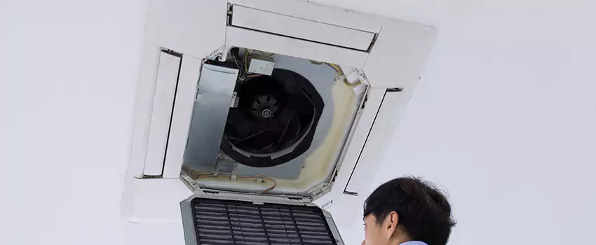 Benefits of Professional Air Duct Cleaning in Brighton, Colorado