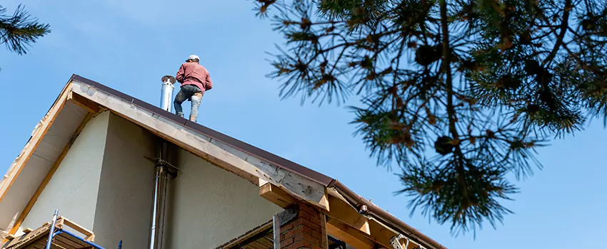Birds Removal Contractors from Chimney in Brighton, CO