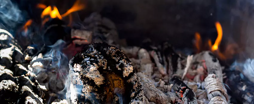 Creosote Removal Experts in Brighton, CO