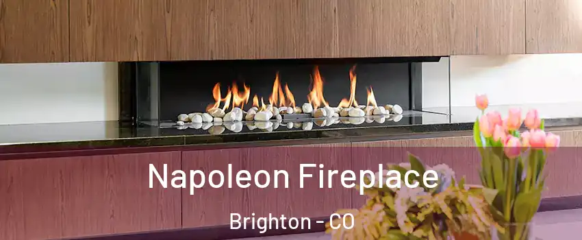  Napoleon Fireplace Brighton - CO