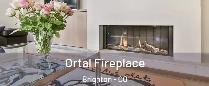  Ortal Fireplace Brighton - CO