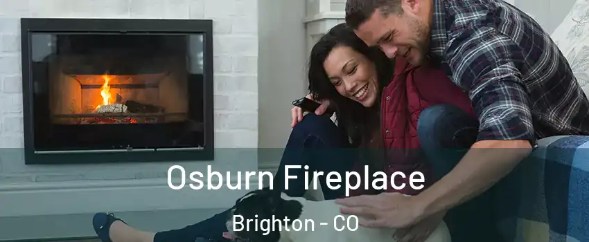  Osburn Fireplace Brighton - CO
